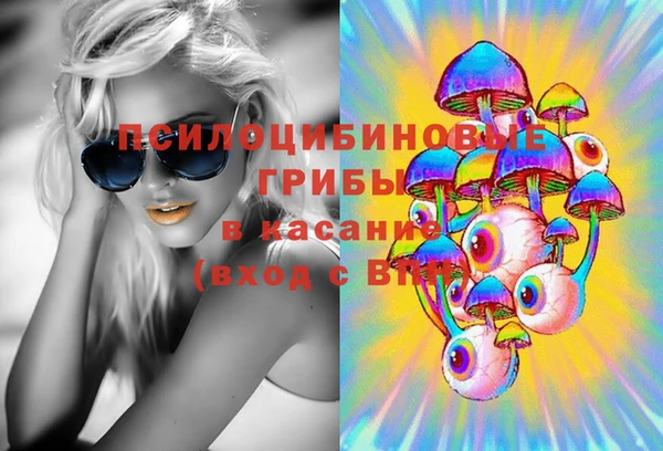 трава Аркадак