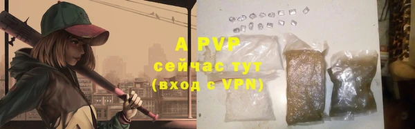 трава Аркадак