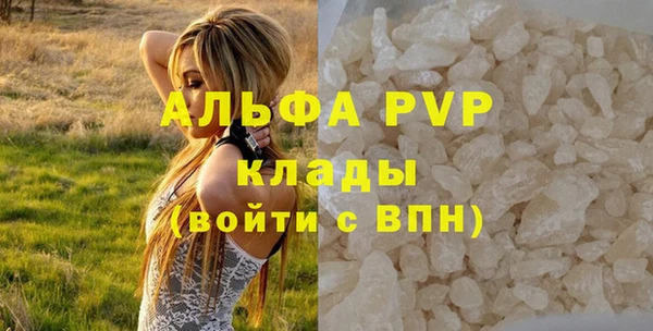 молекула духа Балахна