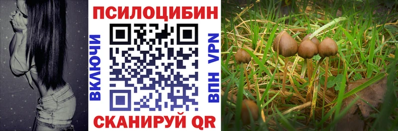 Галлюциногенные грибы мухоморы  Белая Калитва 